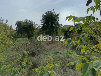 Satilir alekseyivka kendi 8 sot torpaq sahesi icerisinde ev var dami — kiçik şəkil 4