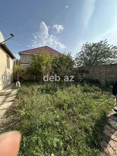 Salam, Corat bağları, Sumqayıt şəhəri, Saray baglar massivi, 2513 — kiçik şəkil 13