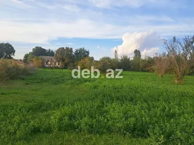 Kənd təsərrüfatı — kiçik şəkil 4