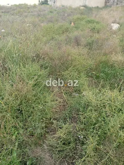 6 sot, Tikinti — kiçik şəkil 2