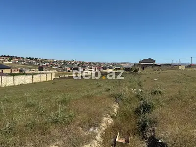 5 sot, Tikinti, Mülkiyyətçi, Kupça (Çıxarış) — kiçik şəkil 6