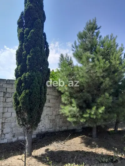 Görədil bağları, dəmiryol stansiyasına piyada məsafəsində, 3.7 sot — kiçik şəkil 3