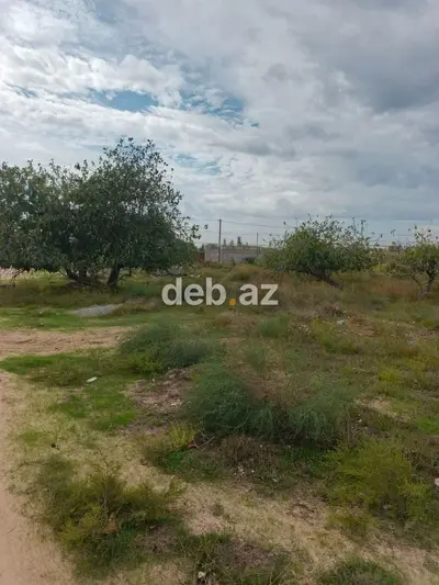 17 sot, Tikinti, Mülkiyyətçi, Kupça (Çıxarış) — kiçik şəkil 4