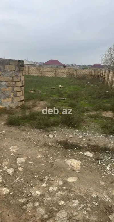 Tikinti, Kupça (Çıxarış) — kiçik şəkil 3