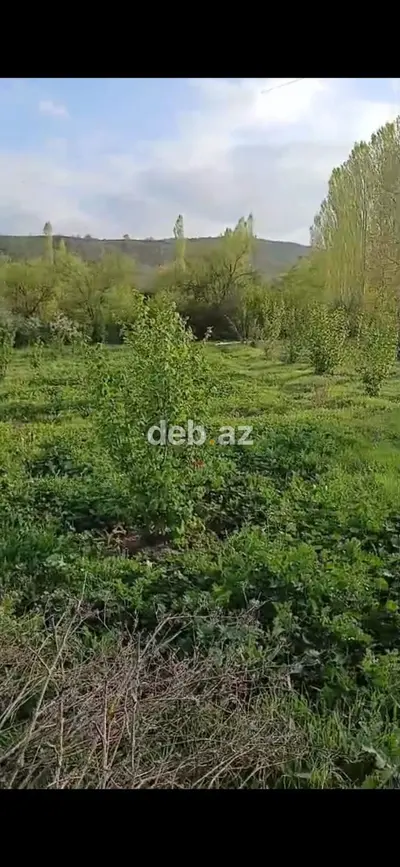14 sot, Tikinti, Mülkiyyətçi, Kupça (Çıxarış) — kiçik şəkil 4