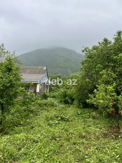5 sot, Tikinti, Mülkiyyətçi, Kupça (Çıxarış) — kiçik şəkil 2