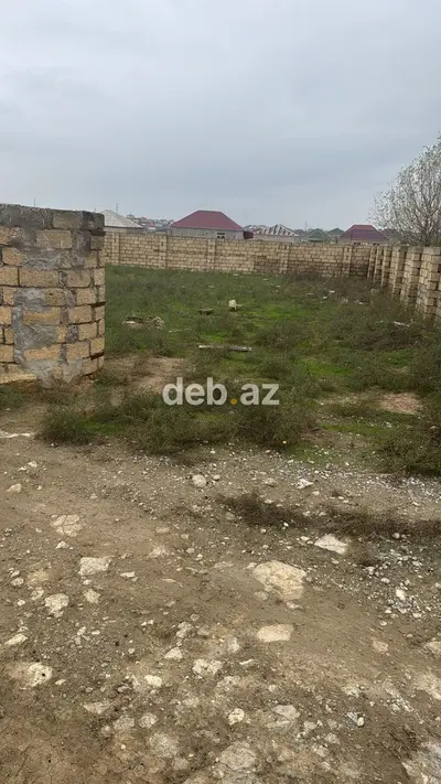 Tikinti, Kupça (Çıxarış) — kiçik şəkil 11