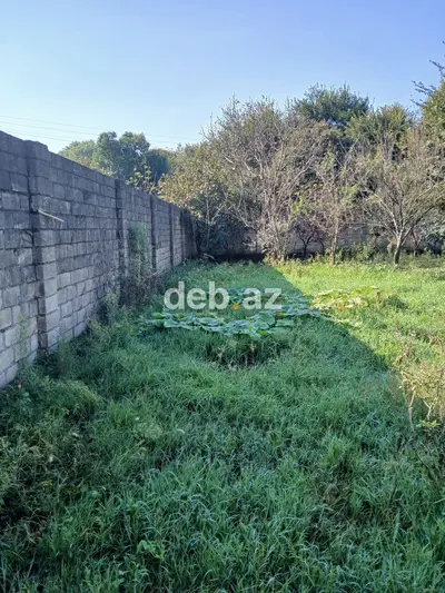 4 sot, Tikinti, Kupça (Çıxarış) — kiçik şəkil 2