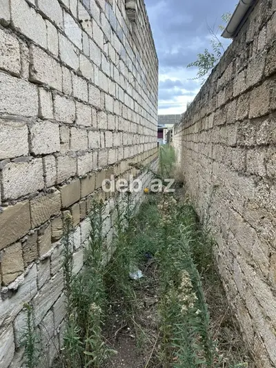 6 sot, Tikinti, Kupça (Çıxarış) — kiçik şəkil 8