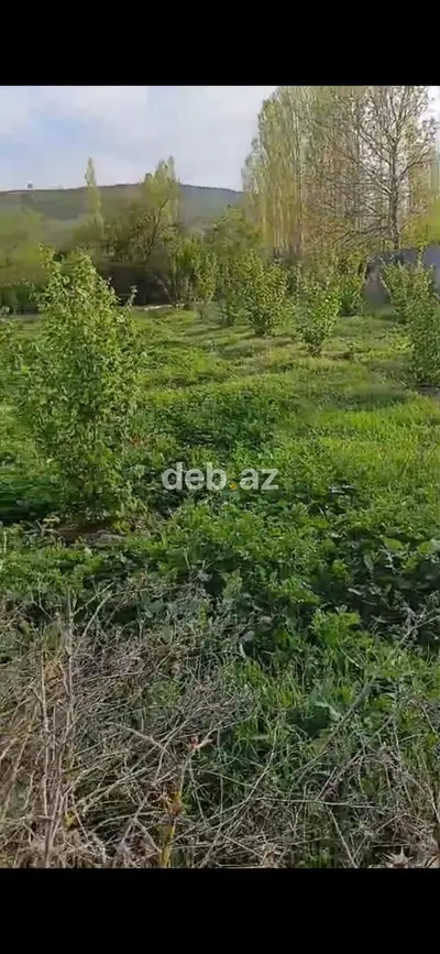 14 sot, Tikinti, Mülkiyyətçi, Kupça (Çıxarış) — kiçik şəkil 1