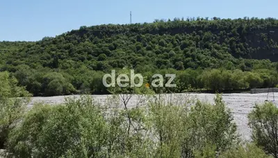 70 sot, Biznes üçün, Mülkiyyətçi, Kupça (Çıxarış) — kiçik şəkil 2