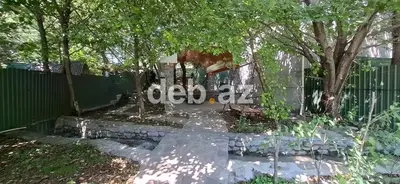 Hovuzlu və Kombili 3 Otaqlı Ev Günlük Kirayə Verilir (80 kv.m) — kiçik şəkil 6