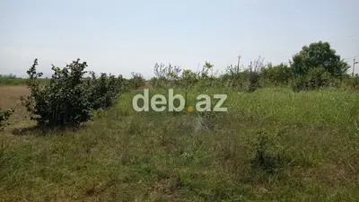 Xaçmazda 14 sot tikinti təyinatlı, kupçalı (çıxarışlı) torpaq sahəsi satılır — kiçik şəkil 3