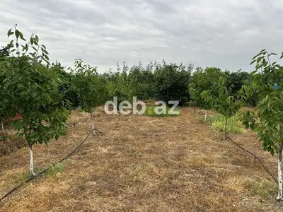 3 otaqlı, 115 kv. m, Yeni təmirli — kiçik şəkil 12