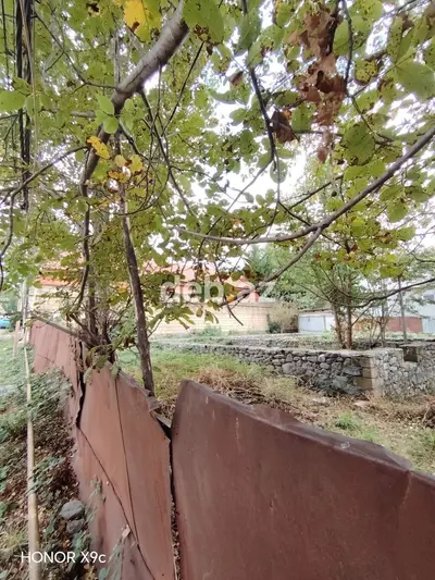 3 sot, Tikinti, Mülkiyyətçi, Kupça (Çıxarış) — kiçik şəkil 10