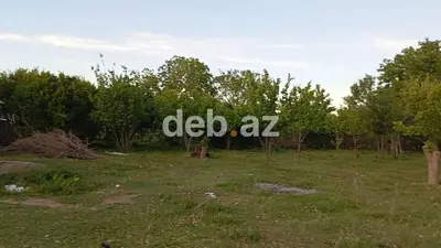25 sot, Kənd təsərrüfatı, Mülkiyyətçi — kiçik şəkil 1