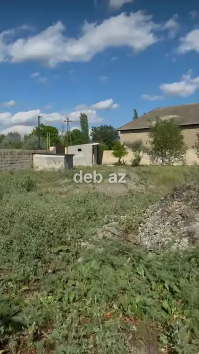 60 sot, Kupça (Çıxarış) — kiçik şəkil 2