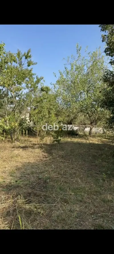 21 sot, Tikinti, Mülkiyyətçi, Kupça (Çıxarış) — kiçik şəkil 2