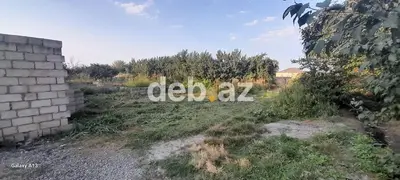6 sot, Tikinti, Kupça (Çıxarış) — kiçik şəkil 4