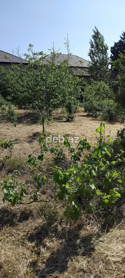 Sumqayitda Torpaq Satilir — Corat Bağlarında 3 və 6 Sot — kiçik şəkil 3