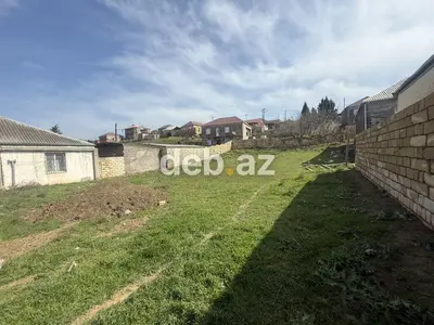 7 sot, Tikinti, Mülkiyyətçi, Kupça (Çıxarış) — kiçik şəkil 3