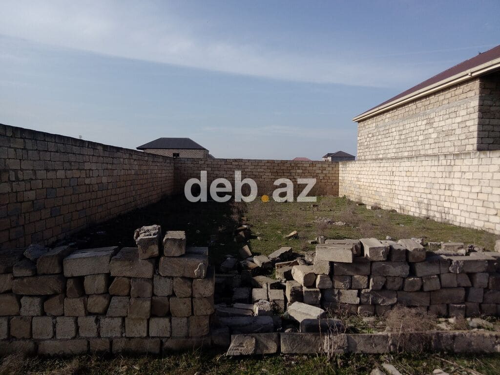 Kənd təsərrüfatı, Mülkiyyətçi, Kupça (Çıxarış) — Abşeron
