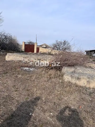 31 sot, Tikinti, Mülkiyyətçi, Kupça (Çıxarış) — kiçik şəkil 11