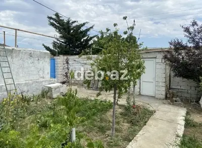 3 otaqlı, 76 kv. m, Yeni təmirli — kiçik şəkil 6