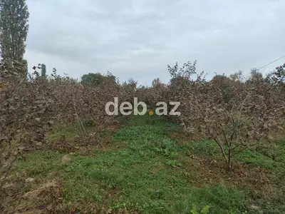 15 sot, Tikinti — kiçik şəkil 4