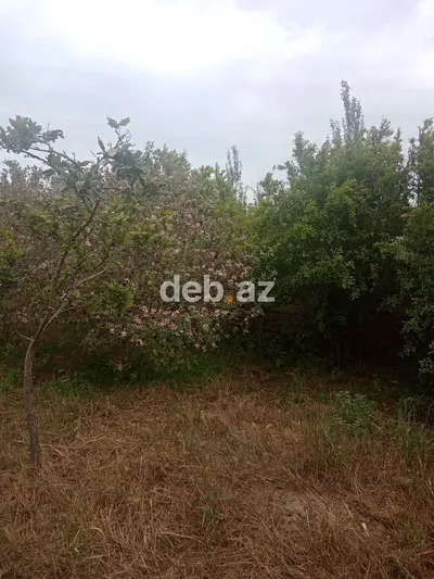 4 otaqlı, 146 kv. m — kiçik şəkil 6