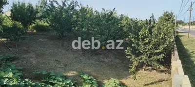 10 sot, Tikinti, Mülkiyyətçi, Kupça (Çıxarış) — kiçik şəkil 6