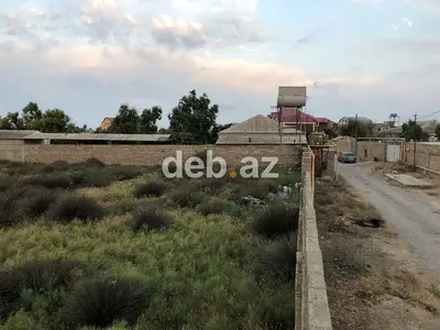 50 sot, Tikinti, Kupça (Çıxarış) — kiçik şəkil 9