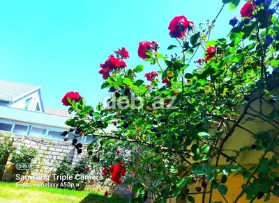 Yeni Ramanada əlimyandıda ev- villa satılır. Özüm üçün tikdiyim — kiçik şəkil 13