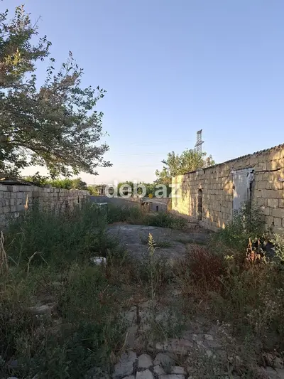 3 sot, Tikinti, Kupça (Çıxarış) — kiçik şəkil 2