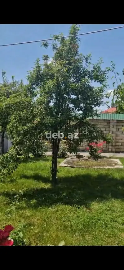 Qebelede Heyet Evi Satilir — Asan Xidmətə Yaxın Paket Kupçalı 6 Sotda Ev — kiçik şəkil 6