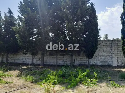 Görədil bağları, dəmiryol stansiyasına piyada məsafəsində, 3.7 sot — kiçik şəkil 2