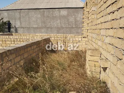 6 sot, Tikinti, Kupça (Çıxarış) — kiçik şəkil 6