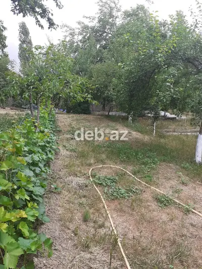 Salam. butun kamunal xidmetler var orta remont bag sahesi meyve — kiçik şəkil 9