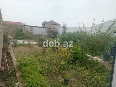 Həyət evi geniş hasarlanmış ərazi ilə təqdim olunur. Giriş hissəsində — kiçik şəkil 7