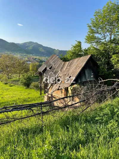 10 sot, Tikinti, Mülkiyyətçi, Kupça (Çıxarış) — kiçik şəkil 2