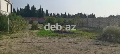 12 sot, Kənd təsərrüfatı, Kupça (Çıxarış) — kiçik şəkil 2
