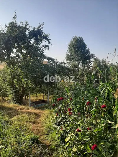 Gədəbəydə TƏCİLİ! 40 Sotdan Çox Həyətdə 250 m² 2 Mərtəbəli Möhtəşəm Ev Satılır — Özel Dağ Bulaq Suyu, Kombili v Bisetkalı! — kiçik şəkil 30