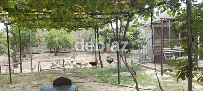 Tikinti, Bələdiyyə — kiçik şəkil 5