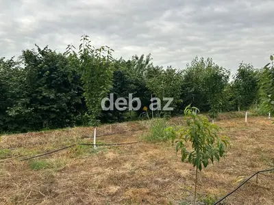 3 otaqlı, 115 kv. m, Yeni təmirli — kiçik şəkil 9