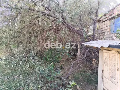 1 otaqlı, 85 kv. m, Kredit yoxdur, Təmirsiz — kiçik şəkil 8
