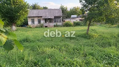 30 sot, Biznes üçün, Mülkiyyətçi, Kupça (Çıxarış) — kiçik şəkil 2