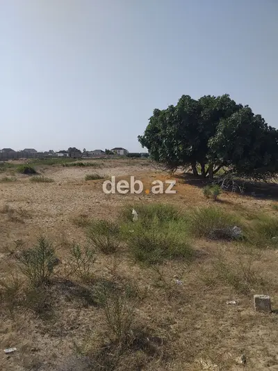Turkan qes.Qizilqumda.denizden 180 metr arali.Denize panarama goruntu — kiçik şəkil 3