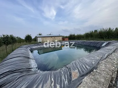 300 sot, Kənd təsərrüfatı, Mülkiyyətçi, Kupça (Çıxarış) — kiçik şəkil 8