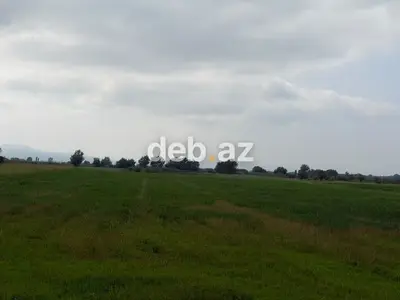 1.14 hektar (114 sot) kənd təsərrüfatı təyinatlı sənədli torpaq sahəsi satılır — kiçik şəkil 15