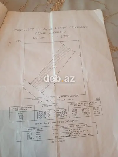 200 sot, Kənd təsərrüfatı, Mülkiyyətçi, Kupça (Çıxarış) — kiçik şəkil 8